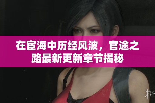 在宦海中历经风波，官途之路最新更新章节揭秘