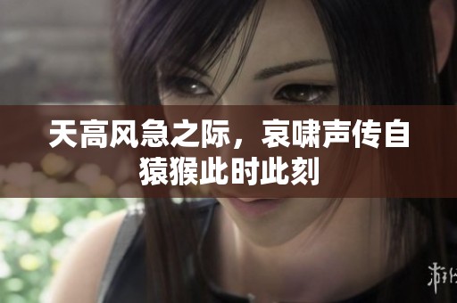 天高风急之际，哀啸声传自猿猴此时此刻