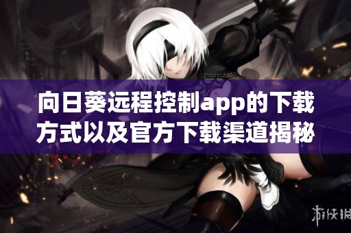向日葵远程控制app的下载方式以及官方下载渠道揭秘