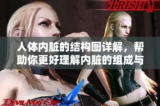 人体内脏的结构图详解，帮助你更好理解内脏的组成与功能