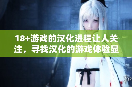 18+游戏的汉化进程让人关注，寻找汉化的游戏体验显得尤为重要