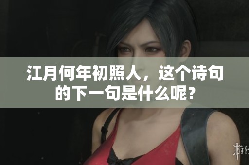 江月何年初照人，这个诗句的下一句是什么呢？