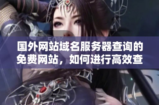 国外网站域名服务器查询的免费网站，如何进行高效查询方法分享