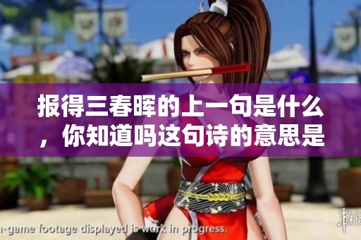 报得三春晖的上一句是什么，你知道吗这句诗的意思是什么呢
