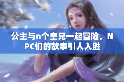 公主与n个皇兄一起冒险，NPC们的故事引人入胜