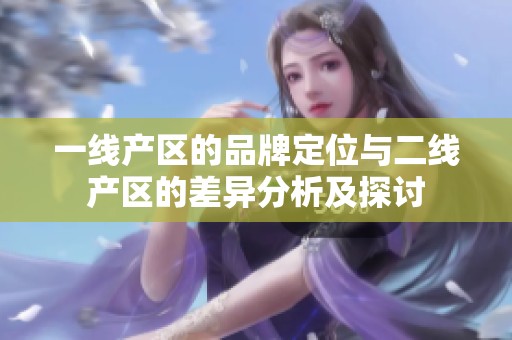 一线产区的品牌定位与二线产区的差异分析及探讨