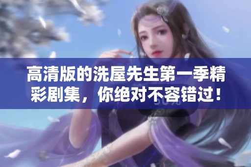 高清版的洗屋先生第一季精彩剧集，你绝对不容错过！