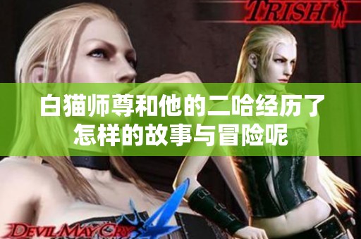 白猫师尊和他的二哈经历了怎样的故事与冒险呢