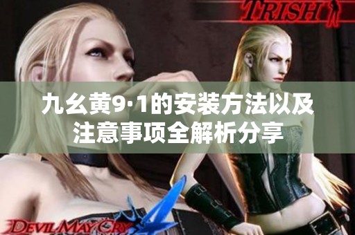 九幺黄9·1的安装方法以及注意事项全解析分享
