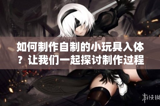 如何制作自制的小玩具入体？让我们一起探讨制作过程吧！
