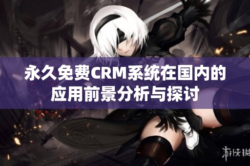 永久免费CRM系统在国内的应用前景分析与探讨