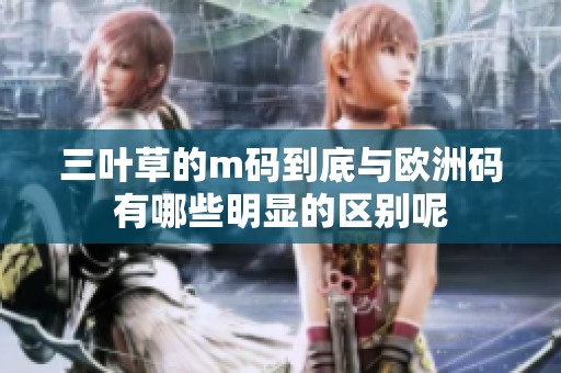 三叶草的m码到底与欧洲码有哪些明显的区别呢