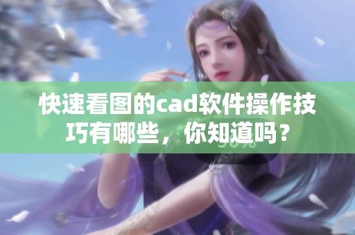 快速看图的cad软件操作技巧有哪些，你知道吗？
