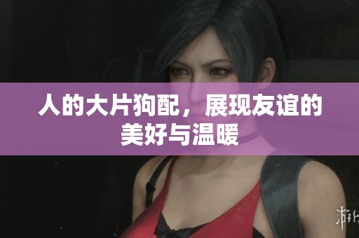 人的大片狗配，展现友谊的美好与温暖