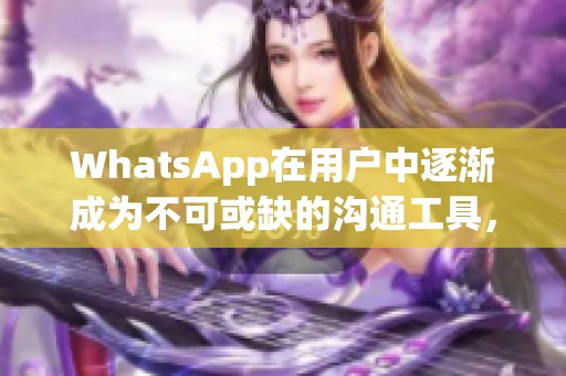 WhatsApp在用户中逐渐成为不可或缺的沟通工具，使用率持续上升。