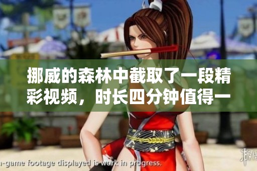 挪威的森林中截取了一段精彩视频，时长四分钟值得一看