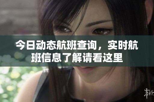 今日动态航班查询，实时航班信息了解请看这里