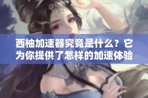 西柚加速器究竟是什么？它为你提供了怎样的加速体验？