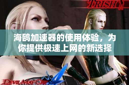 海鸥加速器的使用体验，为你提供极速上网的新选择