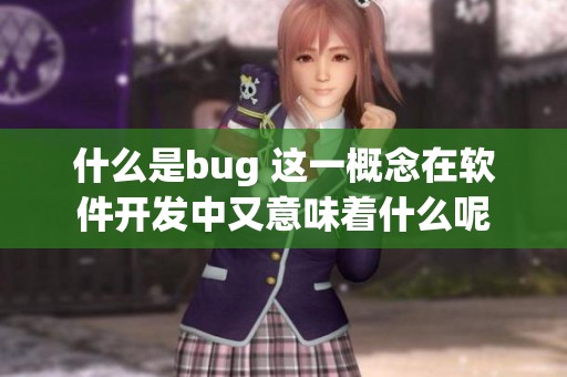 什么是bug 这一概念在软件开发中又意味着什么呢