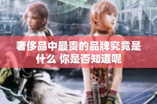 奢侈品中最贵的品牌究竟是什么 你是否知道呢