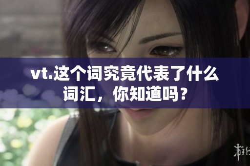 vt.这个词究竟代表了什么词汇，你知道吗？
