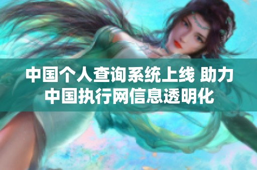 中国个人查询系统上线 助力中国执行网信息透明化