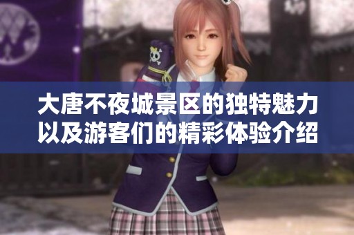 大唐不夜城景区的独特魅力以及游客们的精彩体验介绍