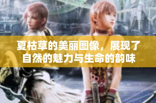 夏枯草的美丽图像，展现了自然的魅力与生命的韵味
