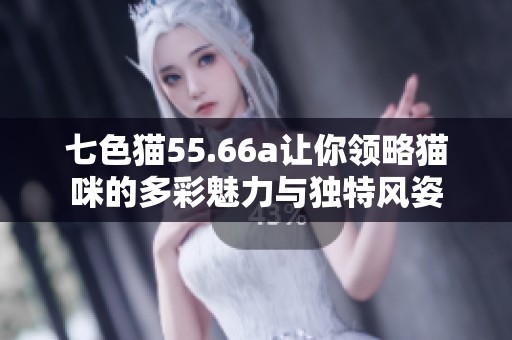 七色猫55.66a让你领略猫咪的多彩魅力与独特风姿