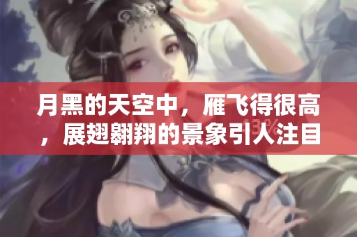月黑的天空中，雁飞得很高，展翅翱翔的景象引人注目