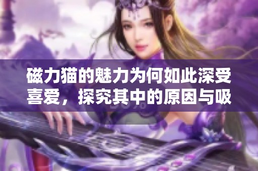 磁力猫的魅力为何如此深受喜爱，探究其中的原因与吸引力