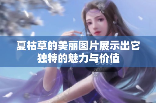 夏枯草的美丽图片展示出它独特的魅力与价值