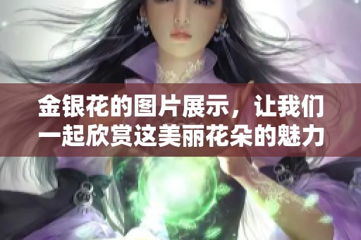 金银花的图片展示，让我们一起欣赏这美丽花朵的魅力与风采。