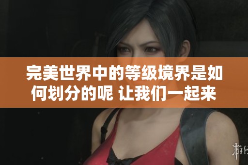 完美世界中的等级境界是如何划分的呢 让我们一起来深入探讨一下吧