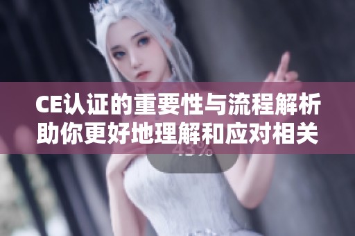 CE认证的重要性与流程解析助你更好地理解和应对相关要求
