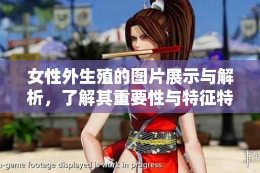 女性外生殖的图片展示与解析，了解其重要性与特征特点