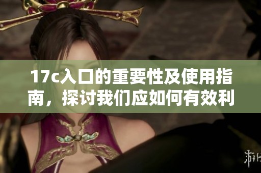 17c入口的重要性及使用指南，探讨我们应如何有效利用17c入口