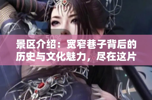 景区介绍：宽窄巷子背后的历史与文化魅力，尽在这片古老街区中展现