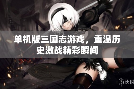单机版三国志游戏，重温历史激战精彩瞬间