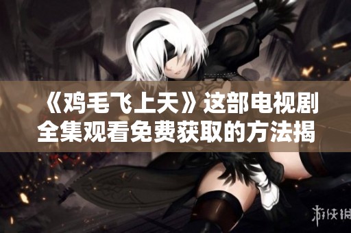 《鸡毛飞上天》这部电视剧全集观看免费获取的方法揭秘