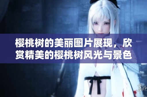樱桃树的美丽图片展现，欣赏精美的樱桃树风光与景色。