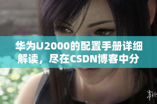 华为U2000的配置手册详细解读，尽在CSDN博客中分享