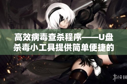 高效病毒查杀程序——U盘杀毒小工具提供简单便捷的解决方案