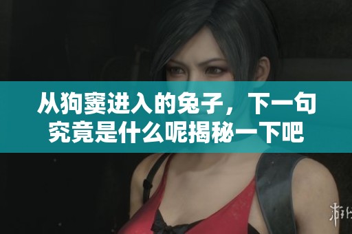 从狗窦进入的兔子，下一句究竟是什么呢揭秘一下吧