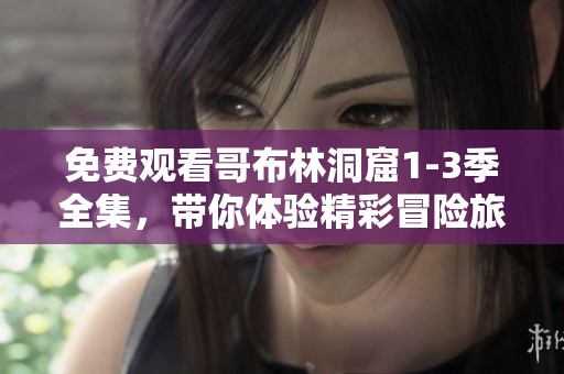 免费观看哥布林洞窟1-3季全集，带你体验精彩冒险旅程