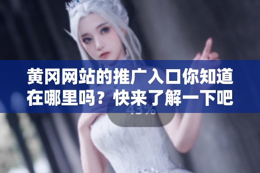 黄冈网站的推广入口你知道在哪里吗？快来了解一下吧！