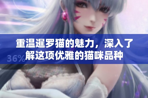 重温暹罗猫的魅力，深入了解这项优雅的猫咪品种