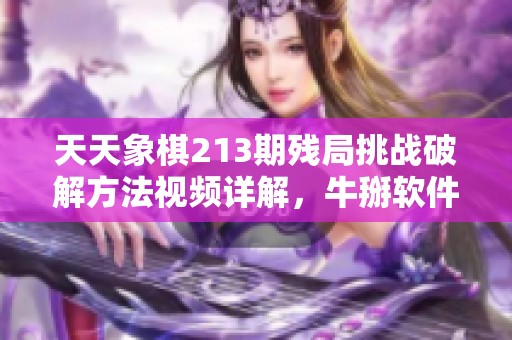 天天象棋213期残局挑战破解方法视频详解，牛掰软件园为你提供支持