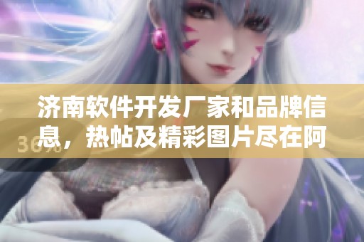 济南软件开发厂家和品牌信息，热帖及精彩图片尽在阿里巴巴平台